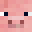 Denek1's head