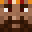 wildboni's head