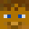 Janu2l11's head