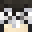 bdsl's head
