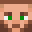 StephKorean's head