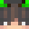 Vertifyy's head