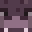 HippoHacks's head