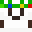 DMK231's head