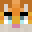 CodingKitten_'s head