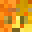 Flapwar's head