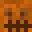 Maximal9813's head