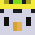 WarmerPenguin's head