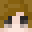 Ned1m0's head
