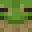 FrogGoKingdom's head