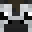 Naxfy's head
