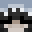 Pitr0xYT's head
