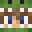 Saurz's head