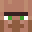 villagerpro1122's head