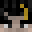 SomeMCDude's head