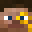s1702's head