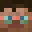 Pulllman's head