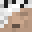 DESTROYEDKINGG's head