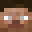 fslot's head
