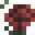 _Spedn's head