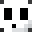 NinjaLOL's head