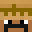StiviWonder1337's head