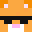 NolsGoose's head