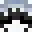 Orkinos_Bird's head