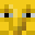 Capybara_IDK's head