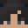 kiwi_birld's head