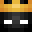 Momentum_IQ's head