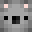 Koala_27's head