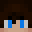 NoahDrags_YT's head
