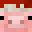 HAMPRO21's head
