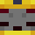 TNT_NPM's head