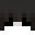 uhj_POLSKA's head