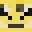 Surykatek_II's head