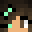WolfieLegends's head