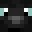 CrowBirdy's head