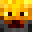 TheBlazeMC's head