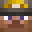 Fabrioche's head