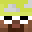 SurfersDude's head
