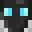 ZavierDash's head