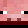 Zxxaro's head