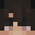 Kiwi3600's head