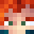 Tqpion's head