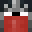 DISSHI's head