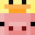 SourDuckie28's head