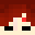 Tomazo878's head
