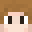 SKIPPER_BOT's head